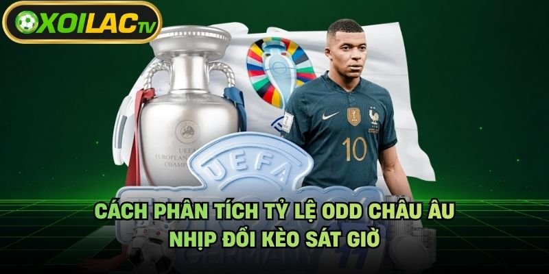 Cách Phân Tích Tỷ Lệ Odd Châu Âu – Nhịp Đổi Kèo Sát Giờ