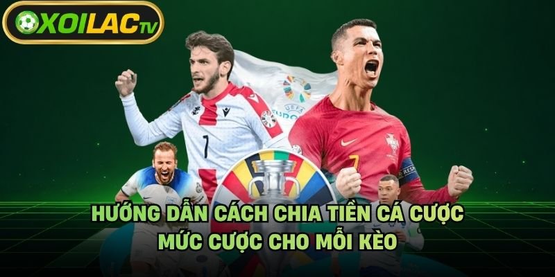Hướng Dẫn Cách Chia Tiền Cá Cược – Mức Cược Cho Mỗi Kèo