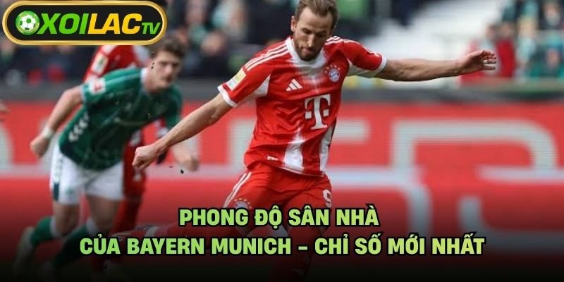 Phong Độ Sân Nhà Của Bayern Munich – Chỉ Số Mới Nhất